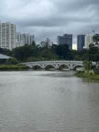 Explore and have a leisurely walk at Jurong Lake Gardens