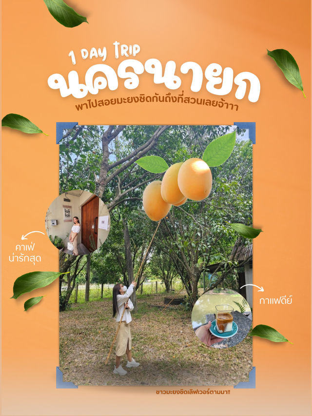 1 เดย์ทริป ตามกันมาถึงสวนมะยงชิด นครนายก!!