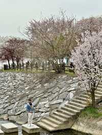 Perfect Spot for a Peaceful Walk or Rest within the City.