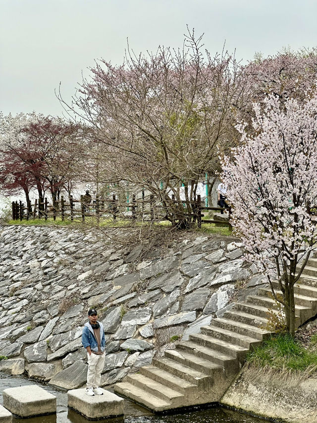 Perfect Spot for a Peaceful Walk or Rest within the City.