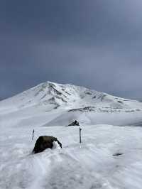 【北海道・旭川】旭岳ロープウェイで大雪山の大自然を体感しよう