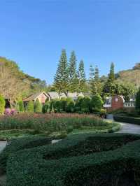 Flora Creek เชียงใหม่