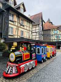 All Aboard the Mini Train Ride