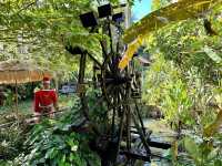Exploring Bentong Ginger Farm: Pahang’s Spicy Agri-Tourism Gem