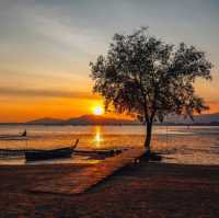 The Mangrove by Blu Monkey 