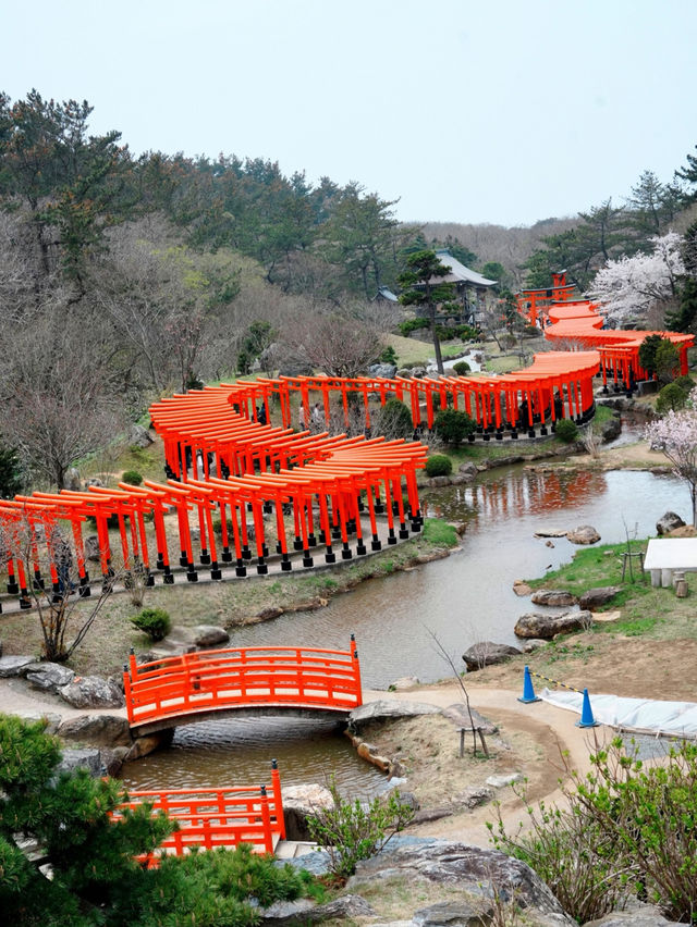 Aomori One-Day Sakura Adventure 🌸🚗 | Chasing Cherry Blossoms Across the North!