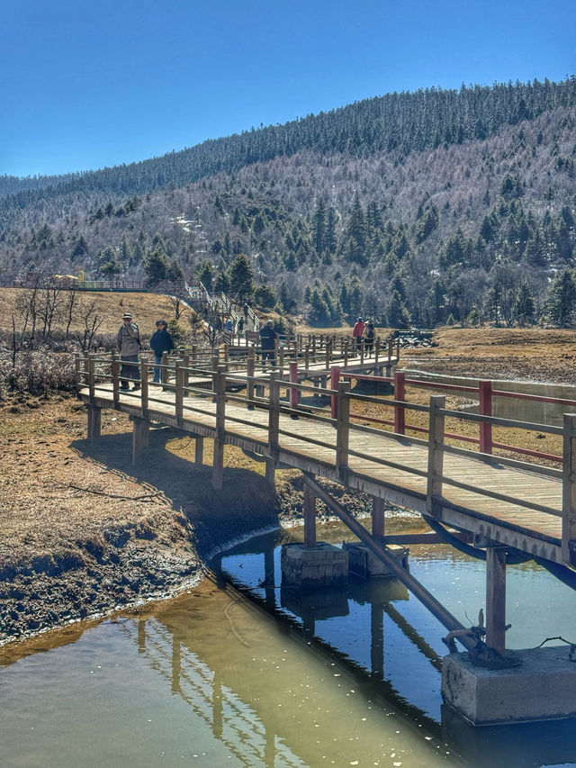 A Peaceful Escape into Nature: Discovering the Beauty of Potatso National Park (普达措国家公园)