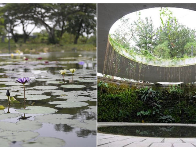🌸 Serenity Now! A Peaceful Escape at Japanese Garden, Singapore 🌸