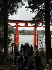 Hakone in April