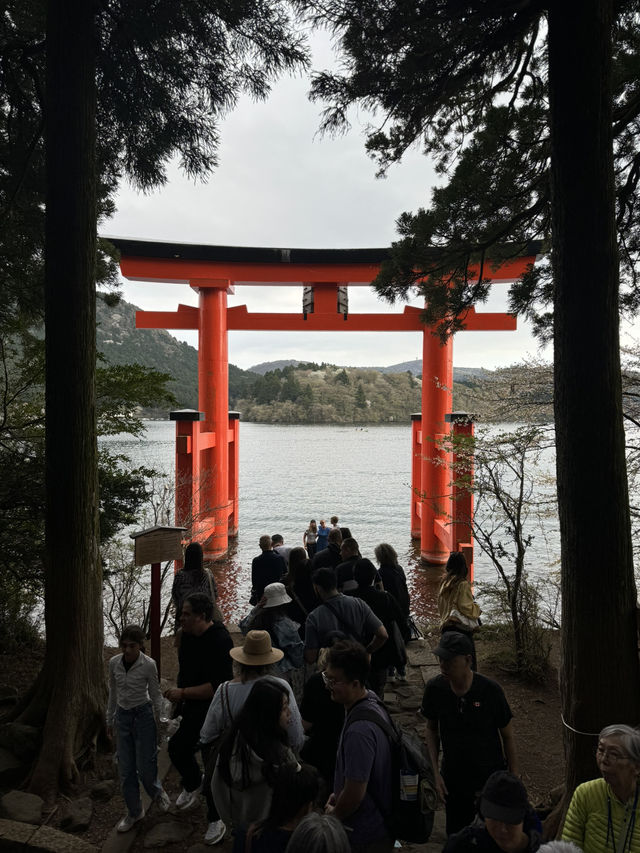 Hakone in April