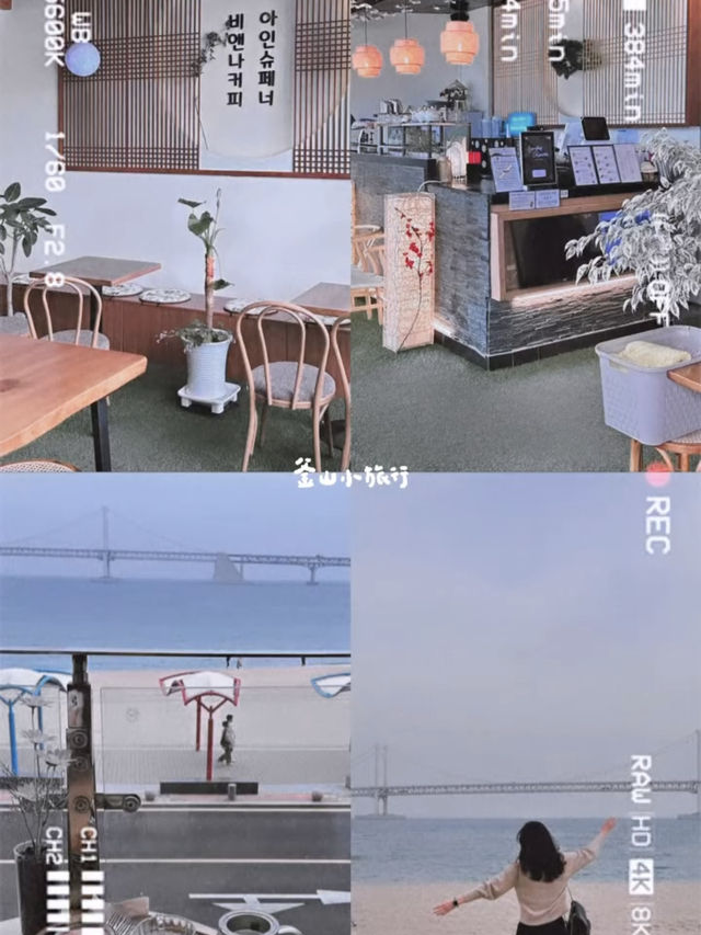 Seashells & Sweet Bites: My Dreamy Busan Escape