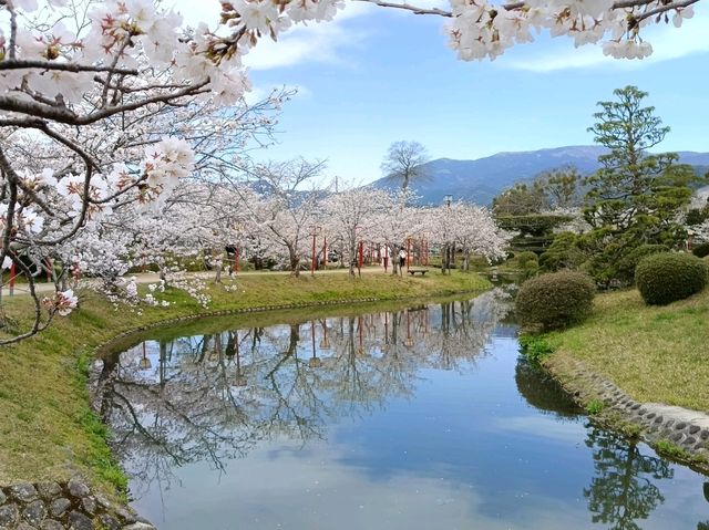 佐賀縣小城市旅行