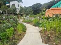 香港最新景點，超靚彩色小屋：馬灣1868