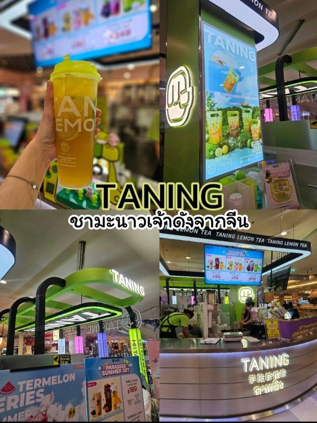 TANING – ที่สุดของชามะนาว สดชื่นทุกหยด!