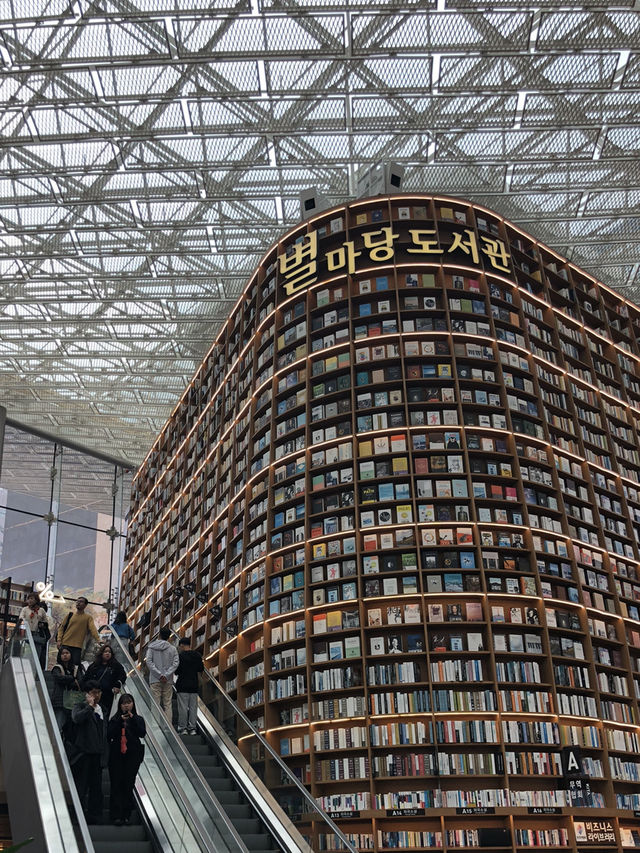 비 오는 날도 걱정 없는 서울 실내 데이트 코스 🌧️
