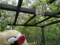 Takato Joshi Park, Nagano
