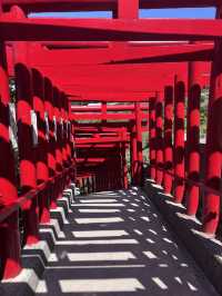 【123基の真っ赤な鳥居】元乃隅神社⛩️