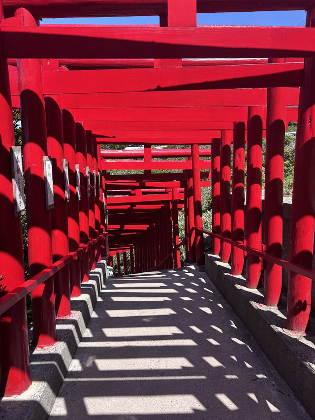 【123基の真っ赤な鳥居】元乃隅神社⛩️