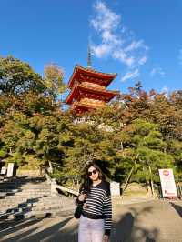 🪆Kiyomizu-dera Temple Review: A Timeless Icon with a View to Remember