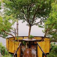 ภูล้านดาวแคมป์