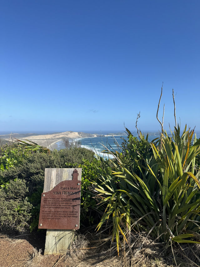 Tip of the North