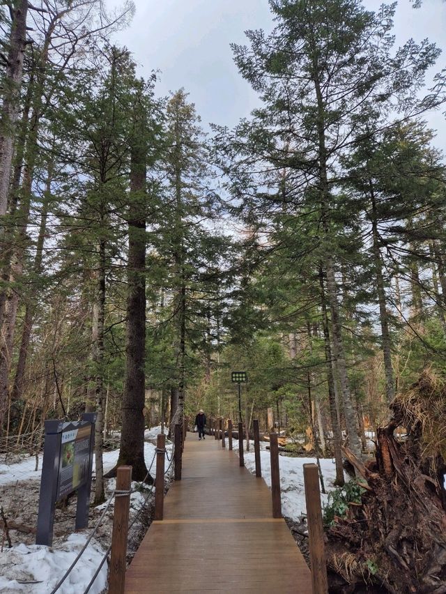 🏔자유여행으로 백두산 북파 관광하기🏔
