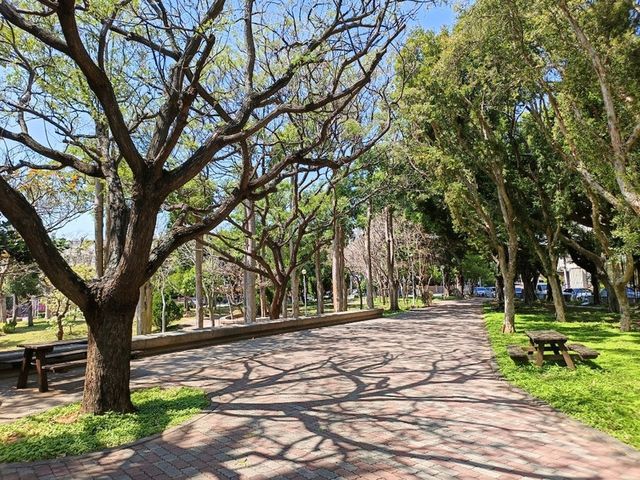 散步、放鬆、騎行，鹿鳴公園讓生活更美好！