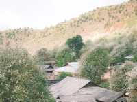 Sơn La
