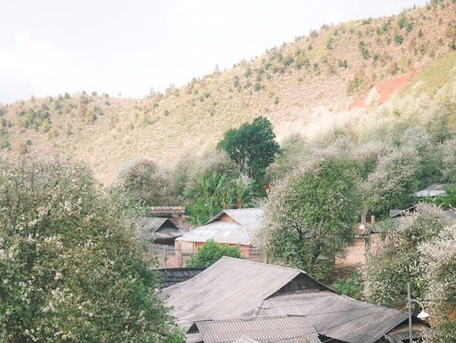 Sơn La