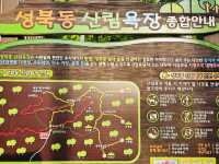 Seongbukdong Forest Bathing Area