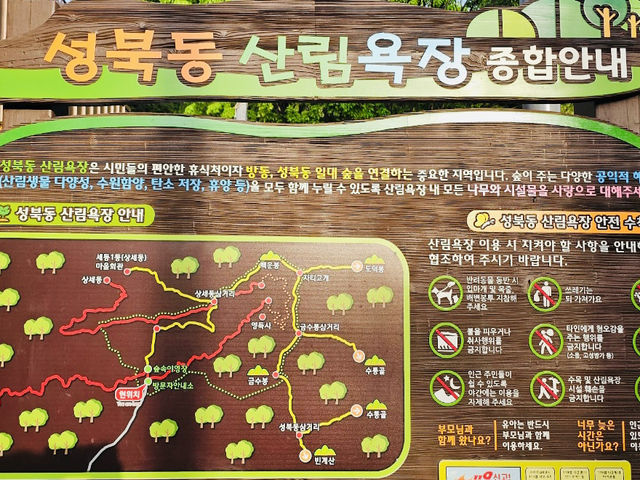 Seongbukdong Forest Bathing Area
