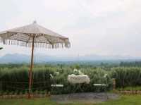 The peak flower land