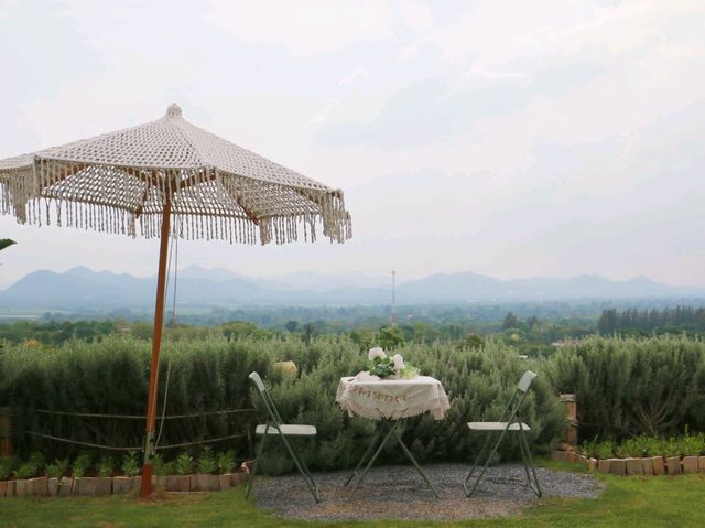 The peak flower land