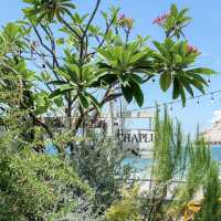 Chaplu Cafe and Restaurant 🌺🌴