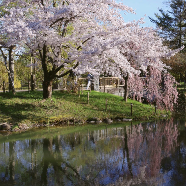 札幌一個公園隨手拍拍就美成這樣