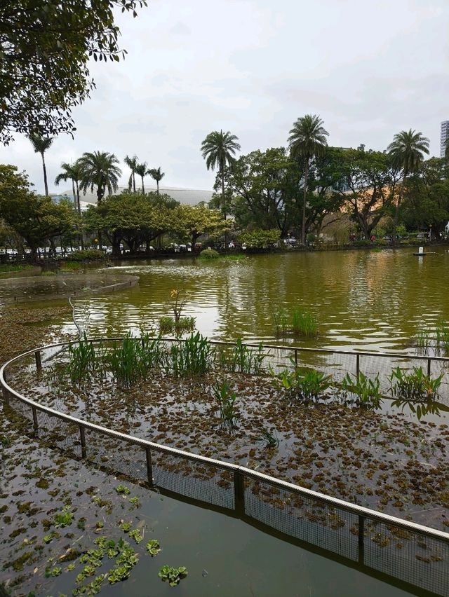 Peaceful City Escape – Sun Yat Sen Memorial Park