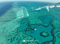 Great Trip to Proserpine 