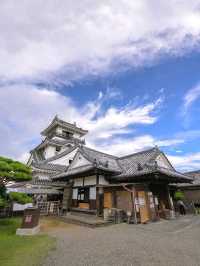 Kochi Castle Is a Hidden Treasure