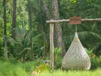 Avani+ Khao Lak Resort, พังงา