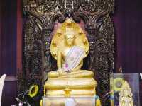 วัดวังก์วิเวการาม 