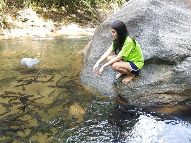 น้ำตกพลิ้ว จันทบุรี