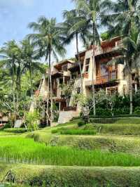 🧘‍♀️ Peace in Paradise – A Serene Escape at Four Seasons Bali at Sayan