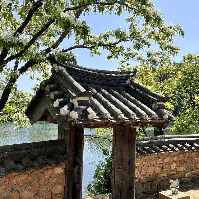 밀양 비밀정원 