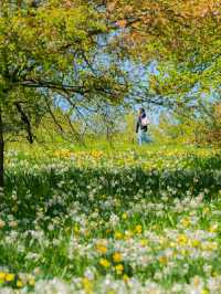 New York Botanical Garden – A Living Museum in the Bronx