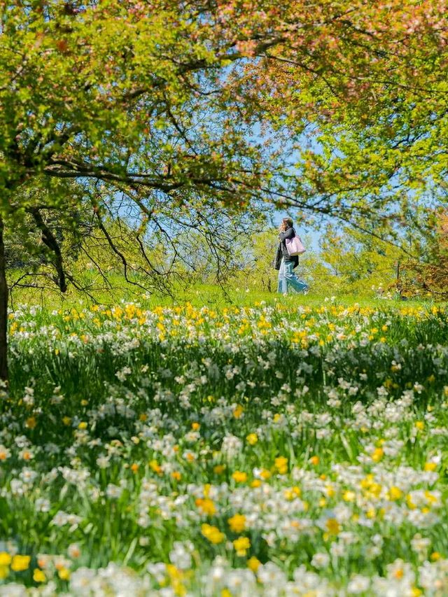 New York Botanical Garden – A Living Museum in the Bronx