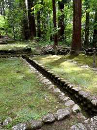 A Slow Day in Fukui – Dinosaurs, Temples & Sweet Treats