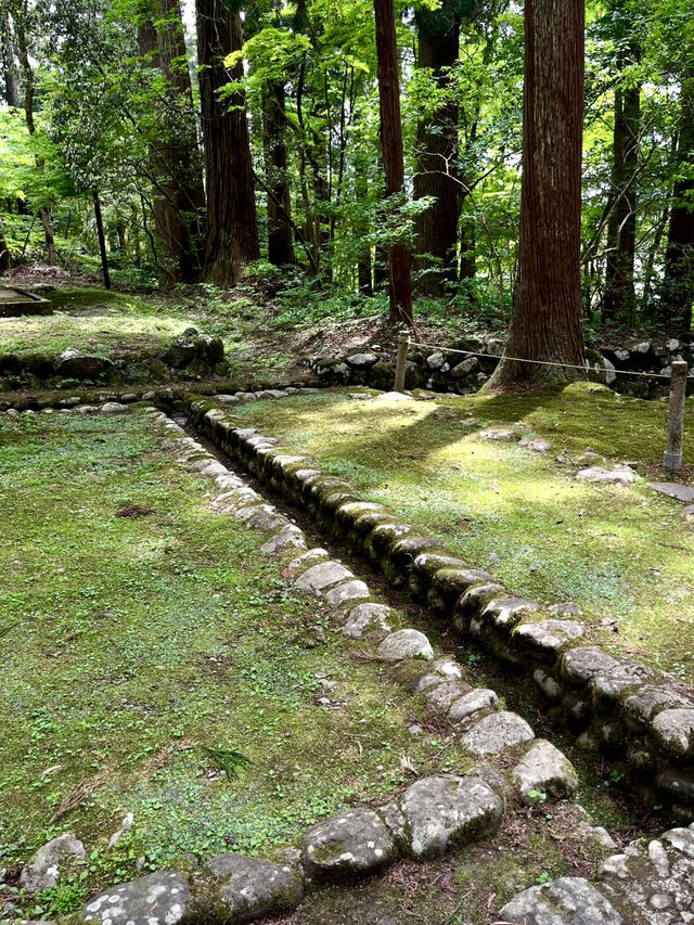 A Slow Day in Fukui – Dinosaurs, Temples & Sweet Treats
