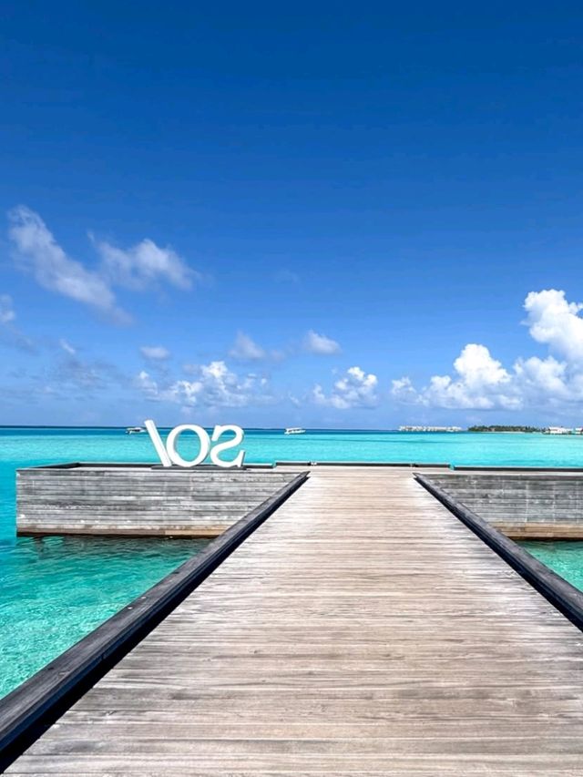 🌴 Cocoon Maldives: Where Italian Elegance Meets Island Bliss 🌊