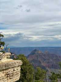 Dare to Climb: Conquering Angels Landing in Zion