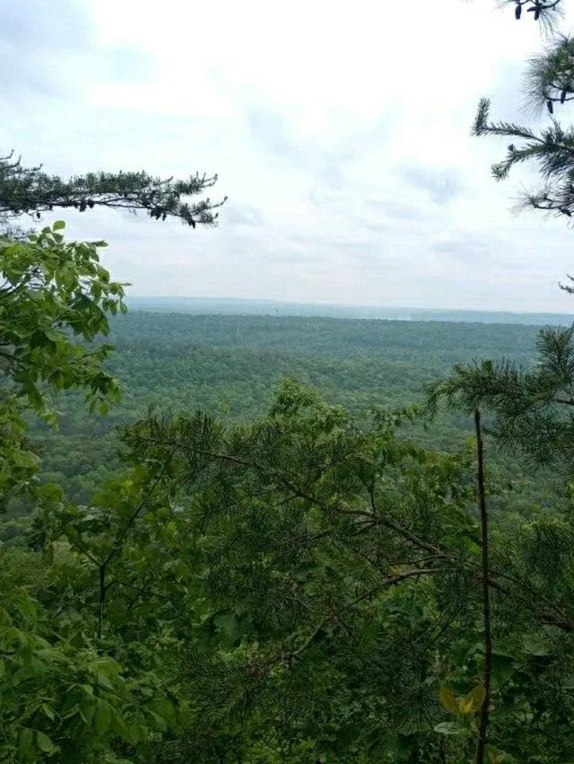 Waterfalls & Woods: Hiking the Walls of Jericho Trail, Alabama
